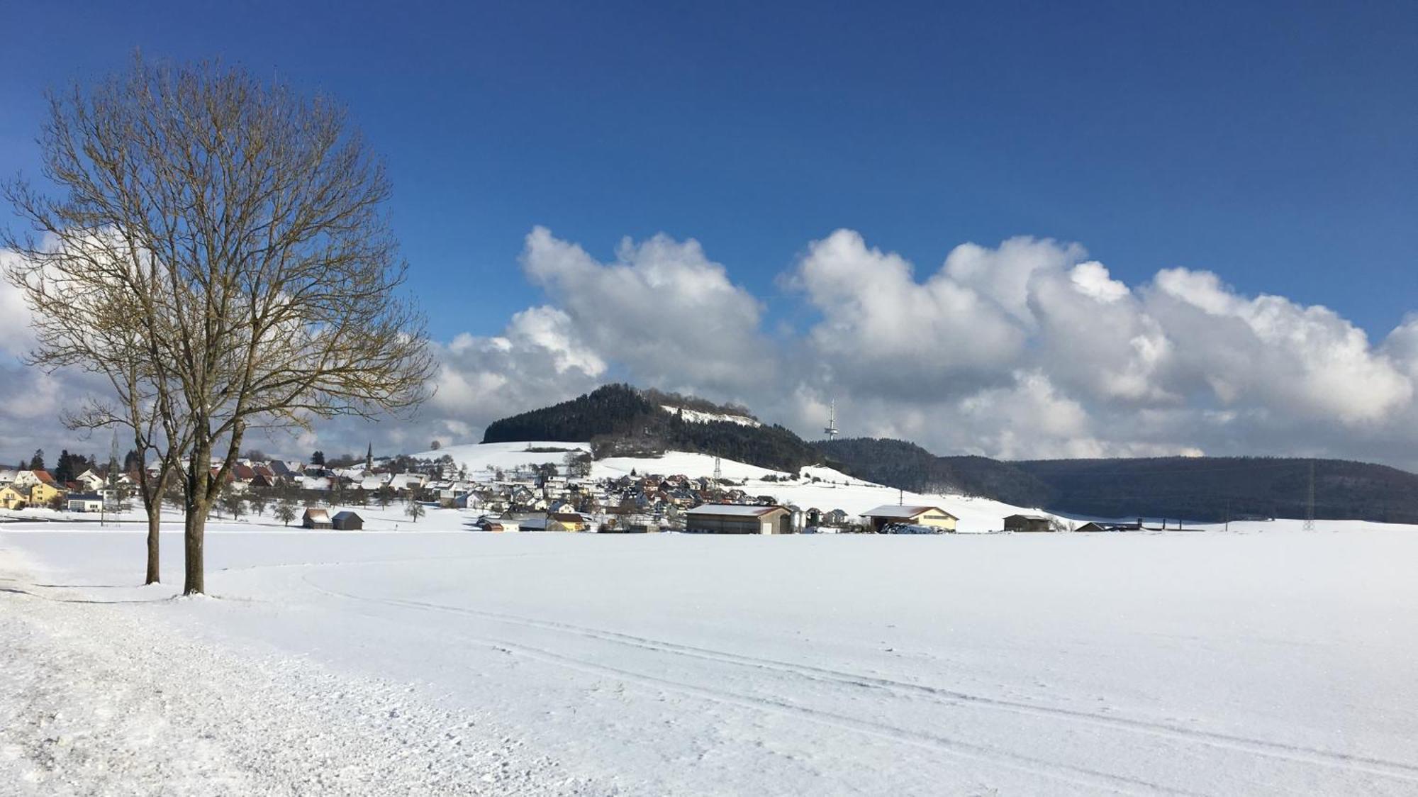 Hotel Roessle Furstenberg  Dış mekan fotoğraf